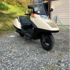 フュージョン実働車です。MF02