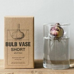 BULB VASE SHORT