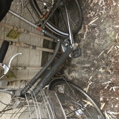 自転車　2日以内