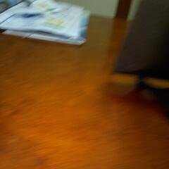 床の間に飾って居ました。の画像