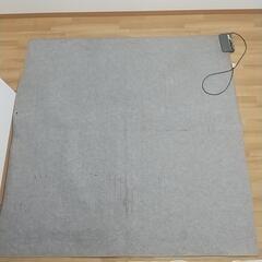 【決まりました】2畳用電気カーペットの画像