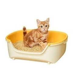 猫トイレ差し上げます ニャンとも清潔トイレ すいすいコンパクト 子猫用の画像