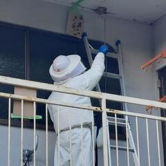 高収入　スズメバチ等の駆除　未経験歓迎の画像