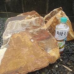 庭石  ドライガーデン  ロックガーデン   ユッカ   アガベ  ヤシ　植物　庭の画像