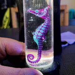 透明骨格標本売ります