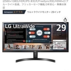（決定）LGウルトラワイドモニター 29WL500-Bの画像