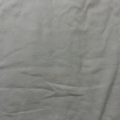 LEE Tシャツの画像