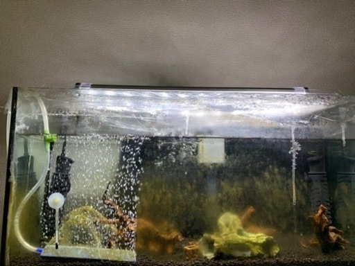 熱帯魚の水槽60センチ　セット