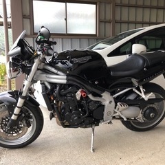 スピードトリプルT955i  の画像