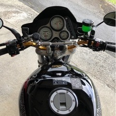 スピードトリプルT955i  の画像