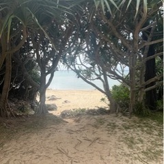 30代女🌺沖縄移住☀️お友達に募集🏝 − 沖縄県