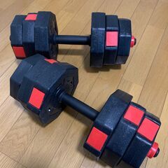 トレーニング　ダンベル　2個セット 最大10kg x 2個