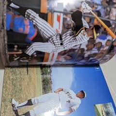 阪神写真集の画像