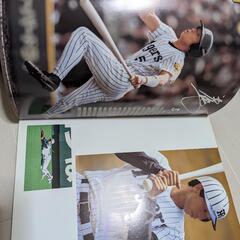 阪神写真集の画像