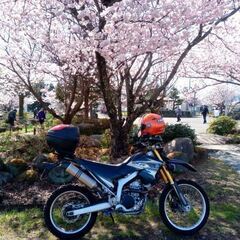 ＷＲ２５０R