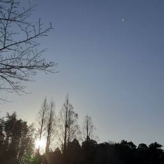 【人生を変える180日間 】もっと楽でシンプルに生きる為の心身の使い方にシフトする！の画像