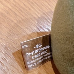 TiNYTANの画像