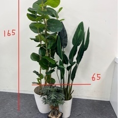 人工観葉植物3点　池袋東口徒歩5分　取りにきて頂ける方