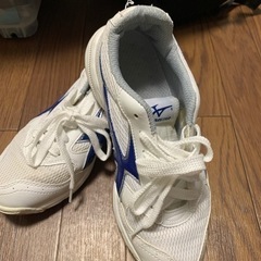 体育館シューズ