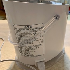 Panasonic EH-SA60スチーマーナノケアの画像
