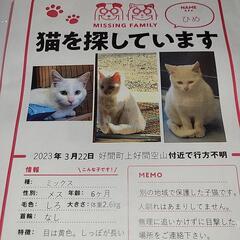 みつかりまた！有り難う御座います！