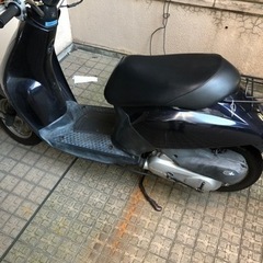 HONDA 原付 中古車 
