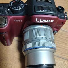 再募集!lumix ＧＨ１の画像