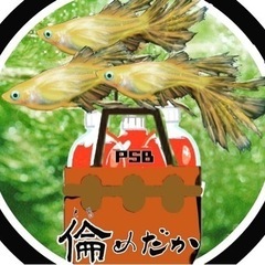 2025めだか販売します。