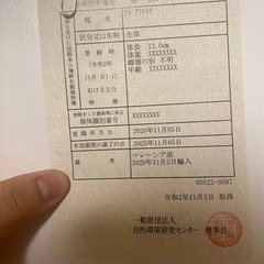 120水槽セット　生体込+α 引取限定の画像