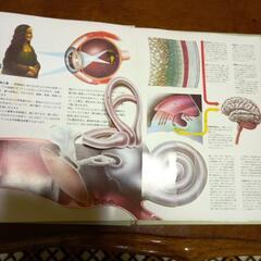 ヒトのからだ解剖学の画像
