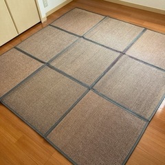 夏用 ゴザ ラグ