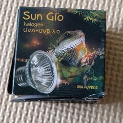 【未使用品】爬虫類　バスキングランプ