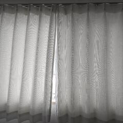 白いカーテン　急ぎ