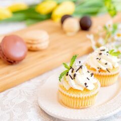 あおばの交流会✨～君をしんじる～