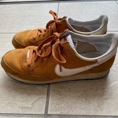 【古着】NIKEシューズ　26センチの画像