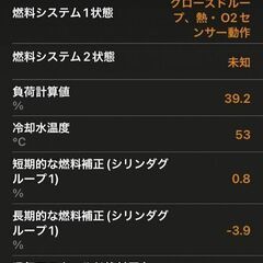 iPhone用ライブデータの画像