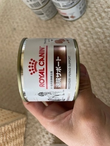 11個セット】ロイヤルカナン 退院サポート ウエット 缶詰 195g