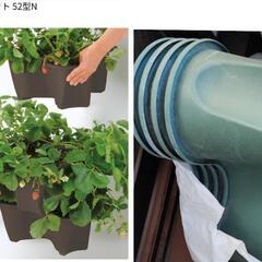 ハーベリーポット いちご栽培 鉢 植木鉢 特大 52型 ストロベ...