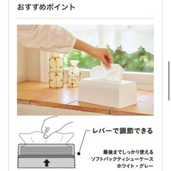 <自宅取引で100円> カインズ オリジナル 底上げできる ティ...