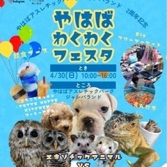 BIGフリーマーケット！！やはばわくわくフェスタ！！