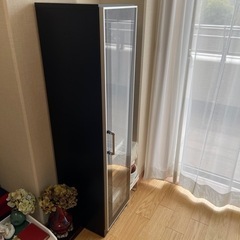 タンス・収納棚・ショーケース(本日24日17:00までに取りに来...