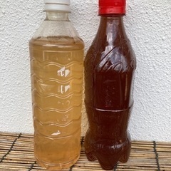 PSB・ゾウリムシセット　(各々500ml)