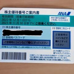 ANA株主優待券　有効期限2023/11/31まで