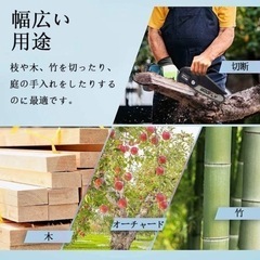 ❗️新品未使用❗️ミニ電動チェーンソー 充電式 6インチ 小型 21Vの画像