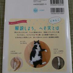 へそ天にゃんこ2 猫 本 写真集の画像