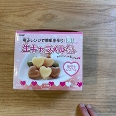 新品未使用　生キャラメル作りセットの画像