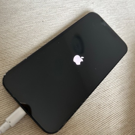 iPhone13 本体