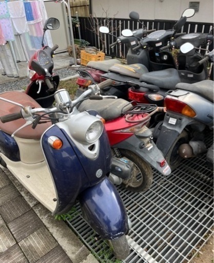 原付　いろいろ