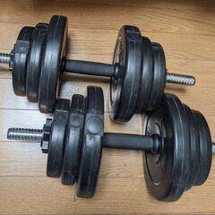 ダンベル 20kg 2個セット 【計 40kg】