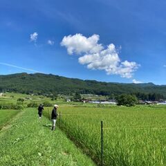 「田んぼ・畑等畦畔の草刈り」一緒に働いていただける地元の方。の画像